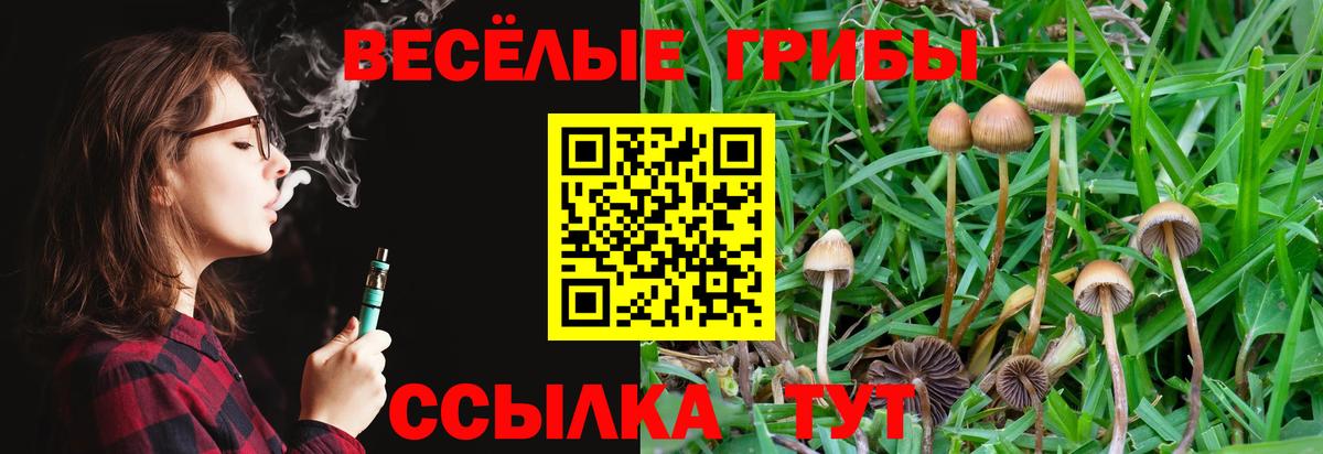 Галлюциногенные грибы Cubensis Людиново